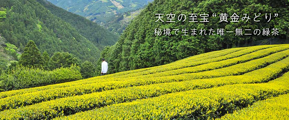 天空の至宝”黄金みどり”